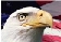 Eagle Head
